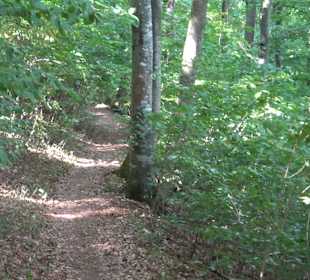 Wandertour Greifensteinrunde