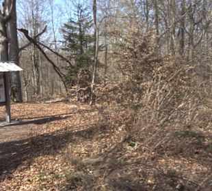Geologischer Lehrpfad Kirnbachtal