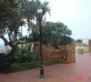 Port Elizabeth