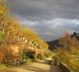 Altstadt Heidelberg am Neckar