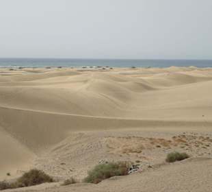 Dünen von Maspalomas