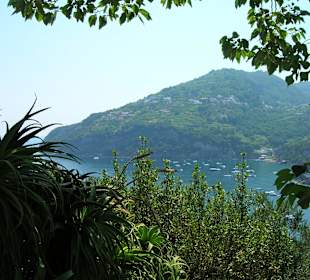 Blick von Burg von Aragon