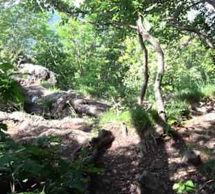 Premiumwanderweg "hochgelegen"