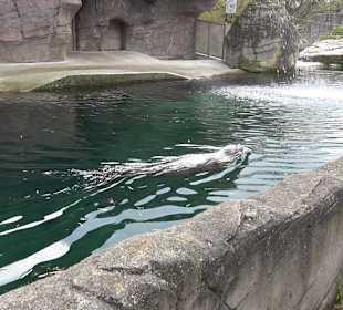Zoologischer Stadtgarten