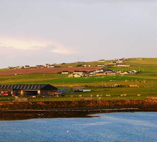 Typisches Milchviehbauerngehöft