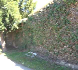 Ehemalige Klostermauer
