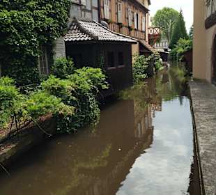 Wissembourg Juni '13