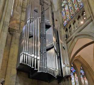 Die Domorgel von St. Peter