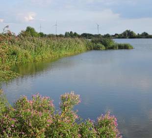 Rundgang um den Badesee Alte Weser
