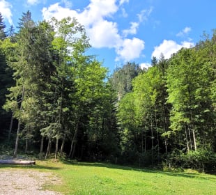 Überquerung der Wiese