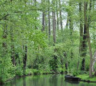 Spreewald