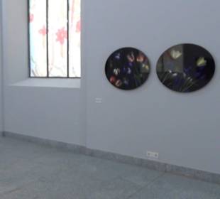 Real Jardín Botánico de Madrid