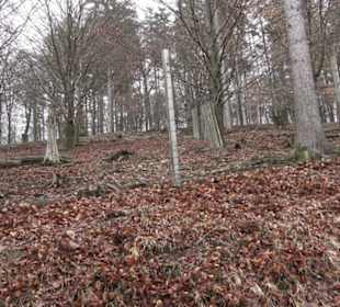 Wildpark Eichert