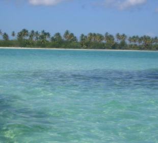 Isla Saona
