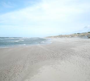 Strand Rowy