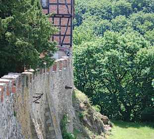 Burg