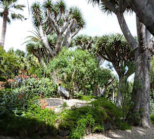 Wunderschöne grüne Anlage!