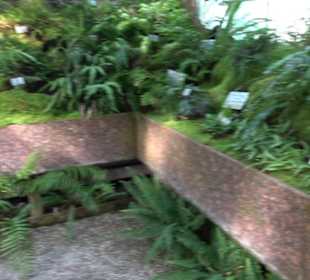 Gewächshäuser Botanischer Garten