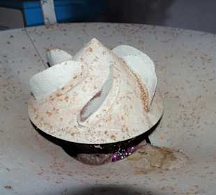 Exponate im Mühlenfachmuseum Stiftsmühle