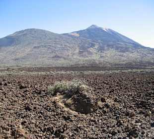 Blick zum Teide