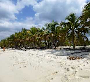 Isla Catalina " Schnorcheln