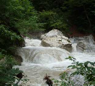 Garnitzenklamm nach Sturm