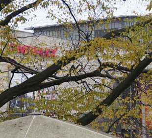 Parkanlage Planten un Blomen