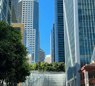 Stadtrundfahrt San Francisco