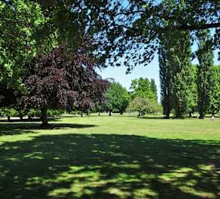 Eindrücke aus dem Alsterpark an der Außenalster