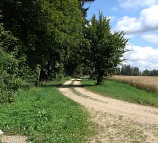 Hochgehnießen - Premiumspazierwanderweg