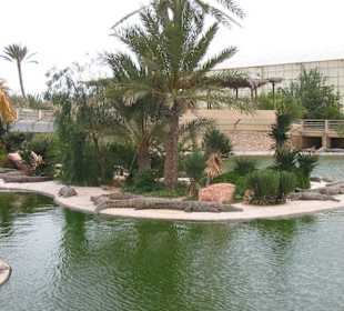 Krokodilfarm