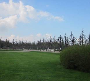 Der Schlosspark Schwetzingen