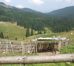 Parcul Natural Apuseni 