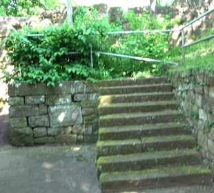 Schlossruine Wildberg