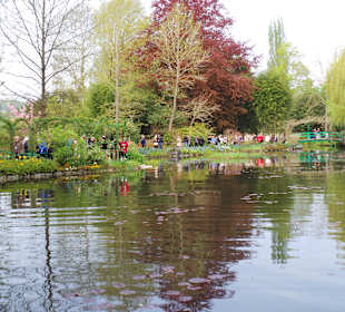 Teich mit Seerosen und japanische Brücke