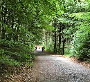 Jagdschloss Granitz Binz
