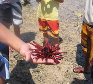 Pause beim Quadfahren