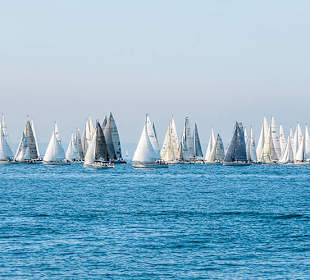 Segeln