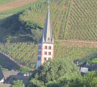 Wandern Zell (Mosel)