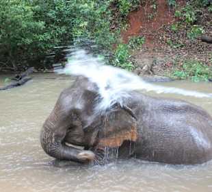 Morgendliche Waschaktion