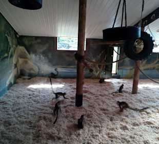  Plopsa Coo Freizeitpark in Stavelot, Belgien 