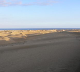 Blick zu den Dünen 