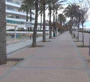 Carretera Del Arenal Balneario