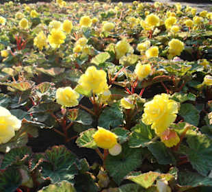 Москва - Кремль