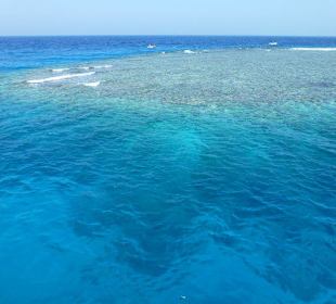 Herrlich diese Ruhe...