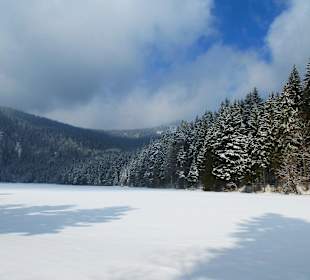 Ausflug Grosser Arbersee
