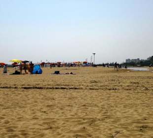 Der Hundestrand dei Pini