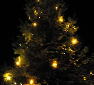 Der Weihnachtsbaum