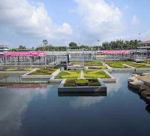 Die schwimmenden Gärten