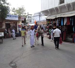 Auf dem Markt von Pushkar unterwegs